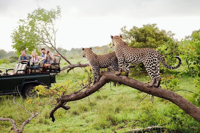 Wild life & Adventure